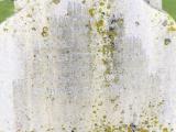 image of grave number 849629